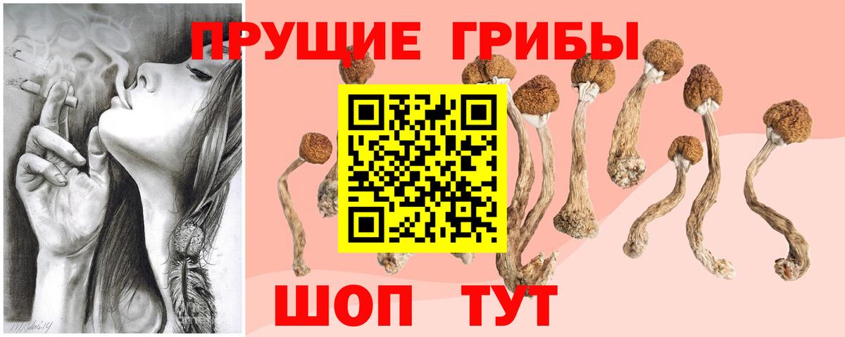 Галлюциногенные грибы Psilocybine cubensis  Вход с VPN  Псилоцибиновые грибы ЛСД  купить закладку  Копейск 